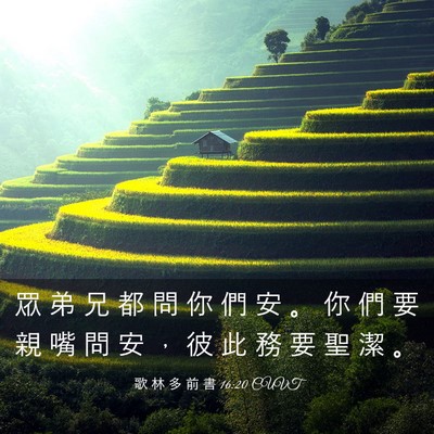 Picture 03 - 歌 林 多 前 書 16:20 CUVT - 眾 弟 兄 都 問 你 們 安 。 你 們 要 - Bible Verse Picture