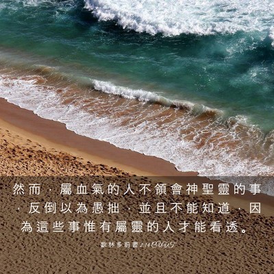 Picture 03 - 歌 林 多 前 書 2:14 CUVT - 然 而 ， 屬 血 氣 的 人 不 領 會 神 - Bible Verse Picture