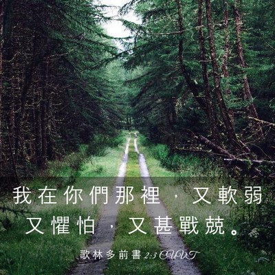 Picture 03 - 歌 林 多 前 書 2:3 CUVT - 我 在 你 們 那 裡 ， 又 軟 弱 又 懼 - Bible Verse Picture