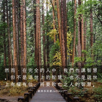 Picture 03 - 歌 林 多 前 書 2:6 CUVT - 然 而 ， 在 完 全 的 人 中 ， 我 們 - Bible Verse Picture