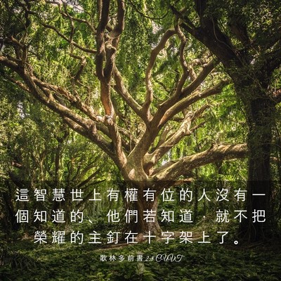 Picture 03 - 歌 林 多 前 書 2:8 CUVT - 這 智 慧 世 上 有 權 有 位 的 人 沒 - Bible Verse Picture