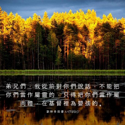 Picture 03 - 歌 林 多 前 書 3:1 CUVT - 弟 兄 們 ， 我 從 前 對 你 們 說 話 - Bible Verse Picture