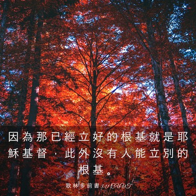 Picture 03 - 歌 林 多 前 書 3:11 CUVT - 因 為 那 已 經 立 好 的 根 基 就 是 - Bible Verse Picture