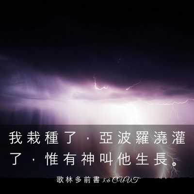 Picture 03 - 歌 林 多 前 書 3:6 CUVT - 我 栽 種 了 ， 亞 波 羅 澆 灌 了 ， - Bible Verse Picture
