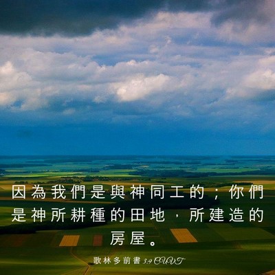 Picture 03 - 歌 林 多 前 書 3:9 CUVT - 因 為 我 們 是 與 神 同 工 的 ； 你 - Bible Verse Picture