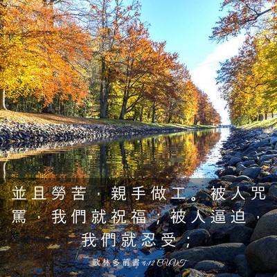 Picture 03 - 歌 林 多 前 書 4:12 CUVT - 並 且 勞 苦 ， 親 手 做 工 。 被 人 - Bible Verse Picture