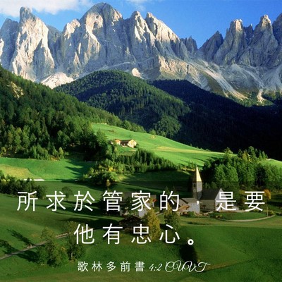 Picture 03 - 歌 林 多 前 書 4:2 CUVT - 所 求 於 管 家 的 ， 是 要 他 有 忠 - Bible Verse Picture