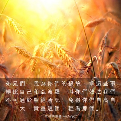 Picture 03 - 歌 林 多 前 書 4:6 CUVT - 弟 兄 們 ， 我 為 你 們 的 緣 故 ， - Bible Verse Picture