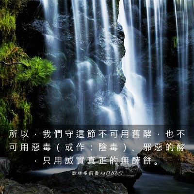 Picture 03 - 歌 林 多 前 書 5:8 CUVT - 所 以 ， 我 們 守 這 節 不 可 用 舊 - Bible Verse Picture