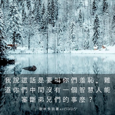 Picture 03 - 歌 林 多 前 書 6:5 CUVT - 我 說 這 話 是 要 叫 你 們 羞 恥 。 - Bible Verse Picture