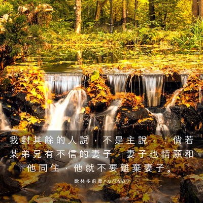 Picture 03 - 歌 林 多 前 書 7:12 CUVT - 我 對 其 餘 的 人 說 ， 不 是 主 說 - Bible Verse Picture