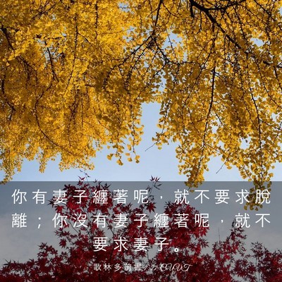 Picture 03 - 歌 林 多 前 書 7:27 CUVT - 你 有 妻 子 纏 著 呢 ， 就 不 要 求 - Bible Verse Picture