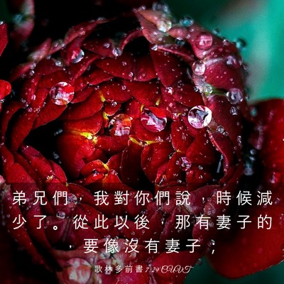 Picture 03 - 歌 林 多 前 書 7:29 CUVT - 弟 兄 們 ， 我 對 你 們 說 ， 時 候 - Bible Verse Picture