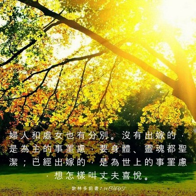 Picture 03 - 歌 林 多 前 書 7:34 CUVT - 婦 人 和 處 女 也 有 分 別 。 沒 有 - Bible Verse Picture