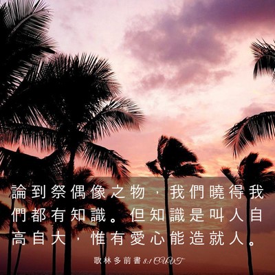 Picture 03 - 歌 林 多 前 書 8:1 CUVT - 論 到 祭 偶 像 之 物 ， 我 們 曉 得 - Bible Verse Picture