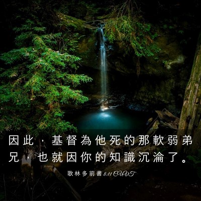 Picture 03 - 歌 林 多 前 書 8:11 CUVT - 因 此 ， 基 督 為 他 死 的 那 軟 弱 - Bible Verse Picture