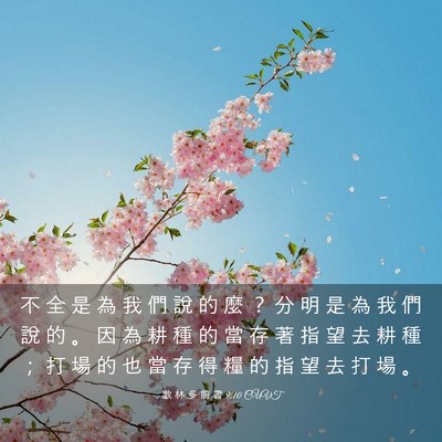 Picture 03 - 歌 林 多 前 書 9:10 CUVT - 不 全 是 為 我 們 說 的 麼 ？ 分 明 - Bible Verse Picture