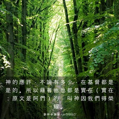 Picture 03 - 歌 林 多 後 書 1:20 CUVT - 神 的 應 許 ， 不 論 有 多 少 ， 在 - Bible Verse Picture