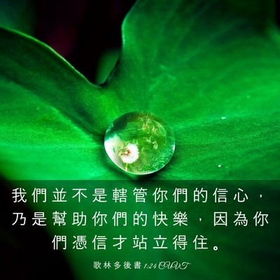 Picture 03 - 歌 林 多 後 書 1:24 CUVT - 我 們 並 不 是 轄 管 你 們 的 信 心 - Bible Verse Picture