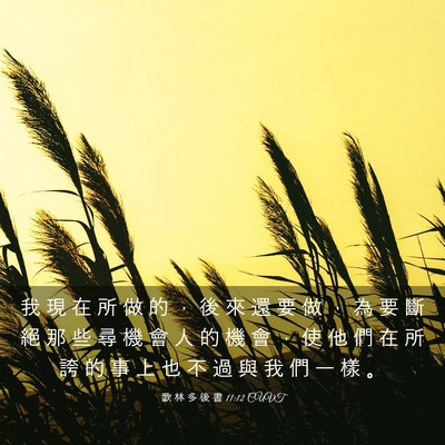 Picture 03 - 歌 林 多 後 書 11:12 CUVT - 我 現 在 所 做 的 ， 後 來 還 要 做 - Bible Verse Picture