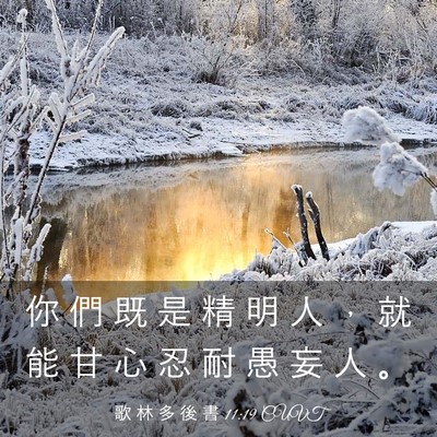 Picture 03 - 歌 林 多 後 書 11:19 CUVT - 你 們 既 是 精 明 人 ， 就 能 甘 心 - Bible Verse Picture