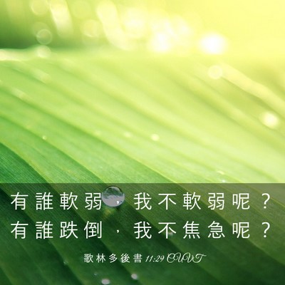 Picture 03 - 歌 林 多 後 書 11:29 CUVT - 有 誰 軟 弱 ， 我 不 軟 弱 呢 ？ 有 - Bible Verse Picture