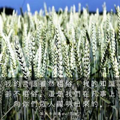 Picture 03 - 歌 林 多 後 書 11:6 CUVT - 我 的 言 語 雖 然 粗 俗 ， 我 的 知 - Bible Verse Picture
