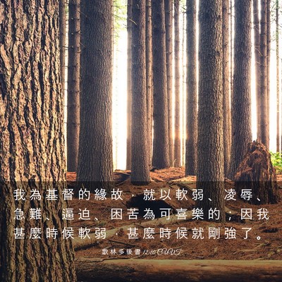 Picture 03 - 歌 林 多 後 書 12:10 CUVT - 我 為 基 督 的 緣 故 ， 就 以 軟 弱 - Bible Verse Picture