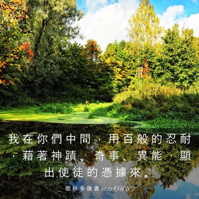 Picture 03 - 歌 林 多 後 書 12:12 CUVT - 我 在 你 們 中 間 ， 用 百 般 的 忍 - Bible Verse Picture