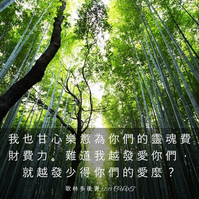 Picture 03 - 歌 林 多 後 書 12:15 CUVT - 我 也 甘 心 樂 意 為 你 們 的 靈 魂 - Bible Verse Picture
