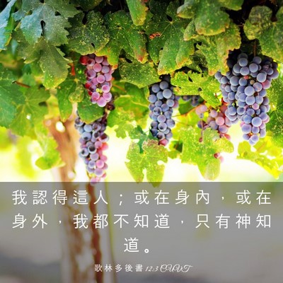 Picture 03 - 歌 林 多 後 書 12:3 CUVT - 我 認 得 這 人 ; 或 在 身 內 , 或 - Bible Verse Picture