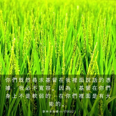Picture 03 - 歌 林 多 後 書 13:3 CUVT - 你 們 既 然 尋 求 基 督 在 我 裡 面 - Bible Verse Picture