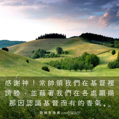 Picture 03 - 歌 林 多 後 書 2:14 CUVT - 感 謝 神 ！ 常 帥 領 我 們 在 基 督 - Bible Verse Picture