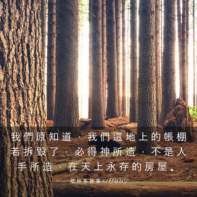 Picture 03 - 歌 林 多 後 書 5:1 CUVT - 我 們 原 知 道 ， 我 們 這 地 上 的 - Bible Verse Picture