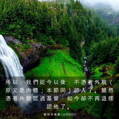 Picture 03 - 歌 林 多 後 書 5:16 CUVT - 所 以 ， 我 們 從 今 以 後 ， 不 憑 - Bible Verse Picture