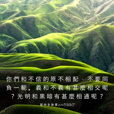 Picture 03 - 歌 林 多 後 書 6:14 CUVT - 你 們 和 不 信 的 原 不 相 配 ， 不 - Bible Verse Picture