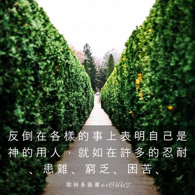 Picture 03 - 歌 林 多 後 書 6:4 CUVT - 反 倒 在 各 樣 的 事 上 表 明 自 己 - Bible Verse Picture