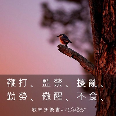 Picture 03 - 歌 林 多 後 書 6:5 CUVT - 鞭 打 、 監 禁 、 擾 亂 、 勤 勞 、 - Bible Verse Picture