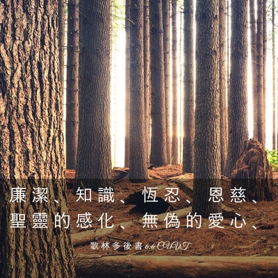 Picture 03 - 歌 林 多 後 書 6:6 CUVT - 廉 潔 、 知 識 、 恆 忍 、 恩 慈 、 - Bible Verse Picture