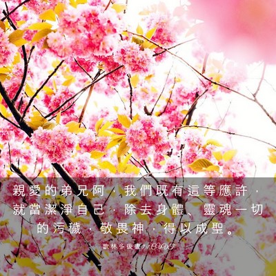 Picture 03 - 歌 林 多 後 書 7:1 CUVT - 親 愛 的 弟 兄 阿 ， 我 們 既 有 這 - Bible Verse Picture