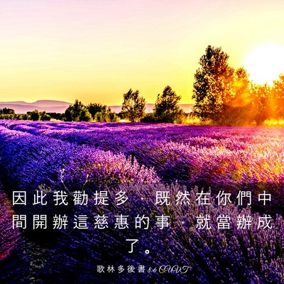 Picture 03 - 歌 林 多 後 書 8:6 CUVT - 因 此 我 勸 提 多 ， 既 然 在 你 們 - Bible Verse Picture