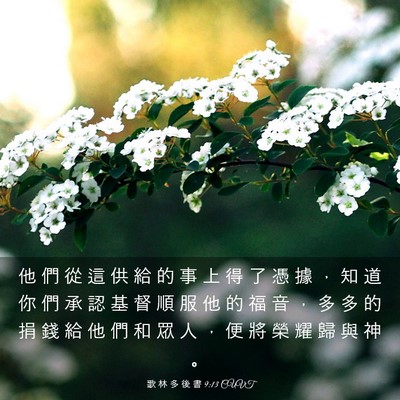 Picture 03 - 歌 林 多 後 書 9:13 CUVT - 他 們 從 這 供 給 的 事 上 得 了 憑 - Bible Verse Picture