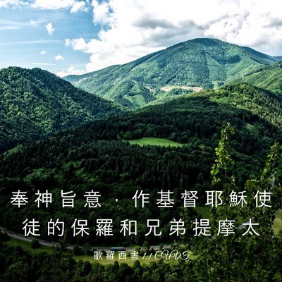 Picture 03 - 歌 羅 西 書 1:1 CUVT - 奉 神 旨 意 ， 作 基 督 耶 穌 使 徒 - Bible Verse Picture