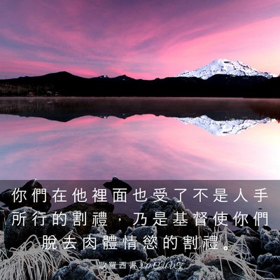Picture 03 - 歌 羅 西 書 2:11 CUVT - 你 們 在 他 裡 面 也 受 了 不 是 人 - Bible Verse Picture