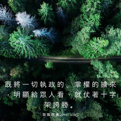 Picture 03 - 歌 羅 西 書 2:15 CUVT - 既 將 一 切 執 政 的 、 掌 權 的 擄 - Bible Verse Picture