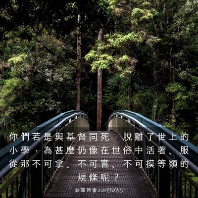 Picture 03 - 歌 羅 西 書 2:20 CUVT - 你 們 若 是 與 基 督 同 死 ， 脫 離 - Bible Verse Picture