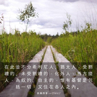 Picture 03 - 歌 羅 西 書 3:11 CUVT - 在 此 並 不 分 希 利 尼 人 、 猶 太 - Bible Verse Picture