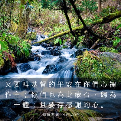 Picture 03 - 歌 羅 西 書 3:15 CUVT - 又 要 叫 基 督 的 平 安 在 你 們 心 - Bible Verse Picture