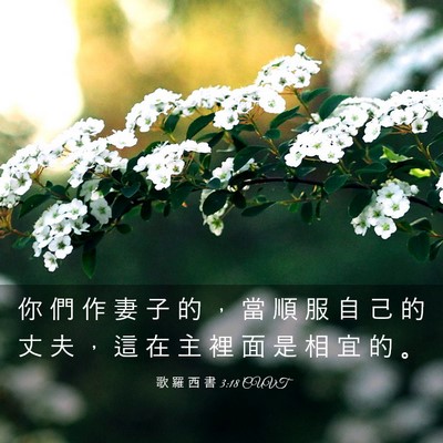 Picture 03 - 歌 羅 西 書 3:18 CUVT - 你 們 作 妻 子 的 ， 當 順 服 自 己 - Bible Verse Picture