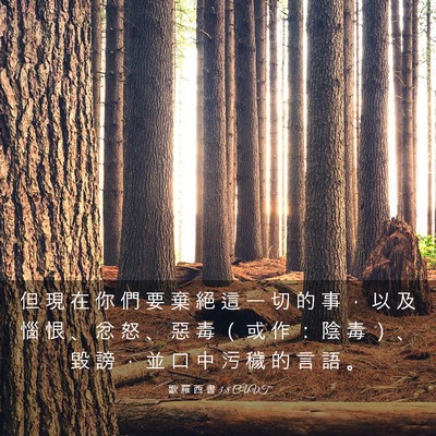 Picture 03 - 歌 羅 西 書 3:8 CUVT - 但 現 在 你 們 要 棄 絕 這 一 切 的 - Bible Verse Picture
